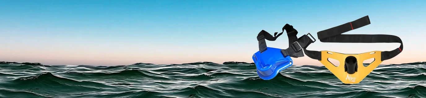 Banner image 1