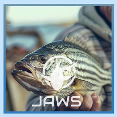 JAWS