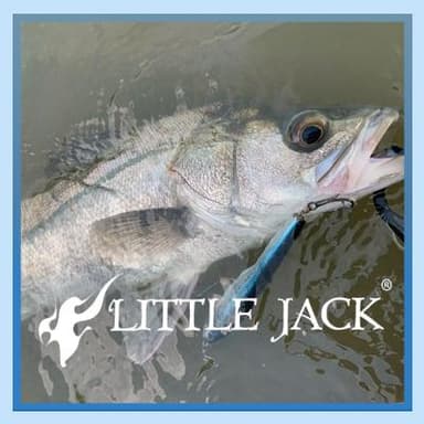 LITTLE JACK
