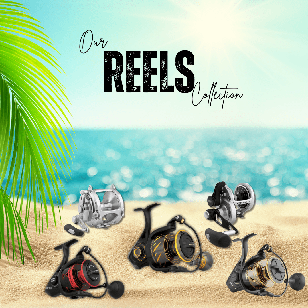 Reels Collection