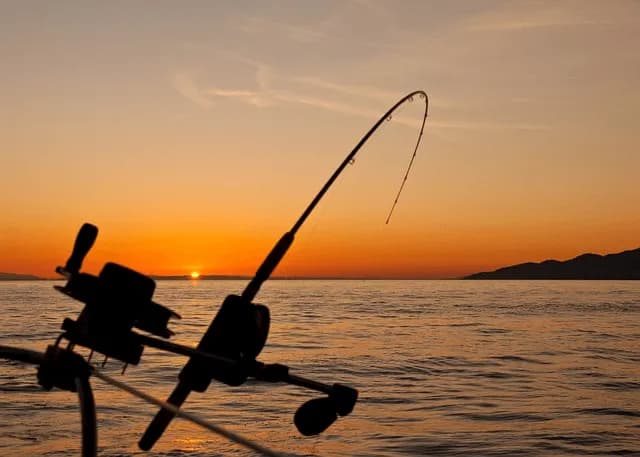 Beginner's Guide to Deep Sea Fishing Abu Dhabi