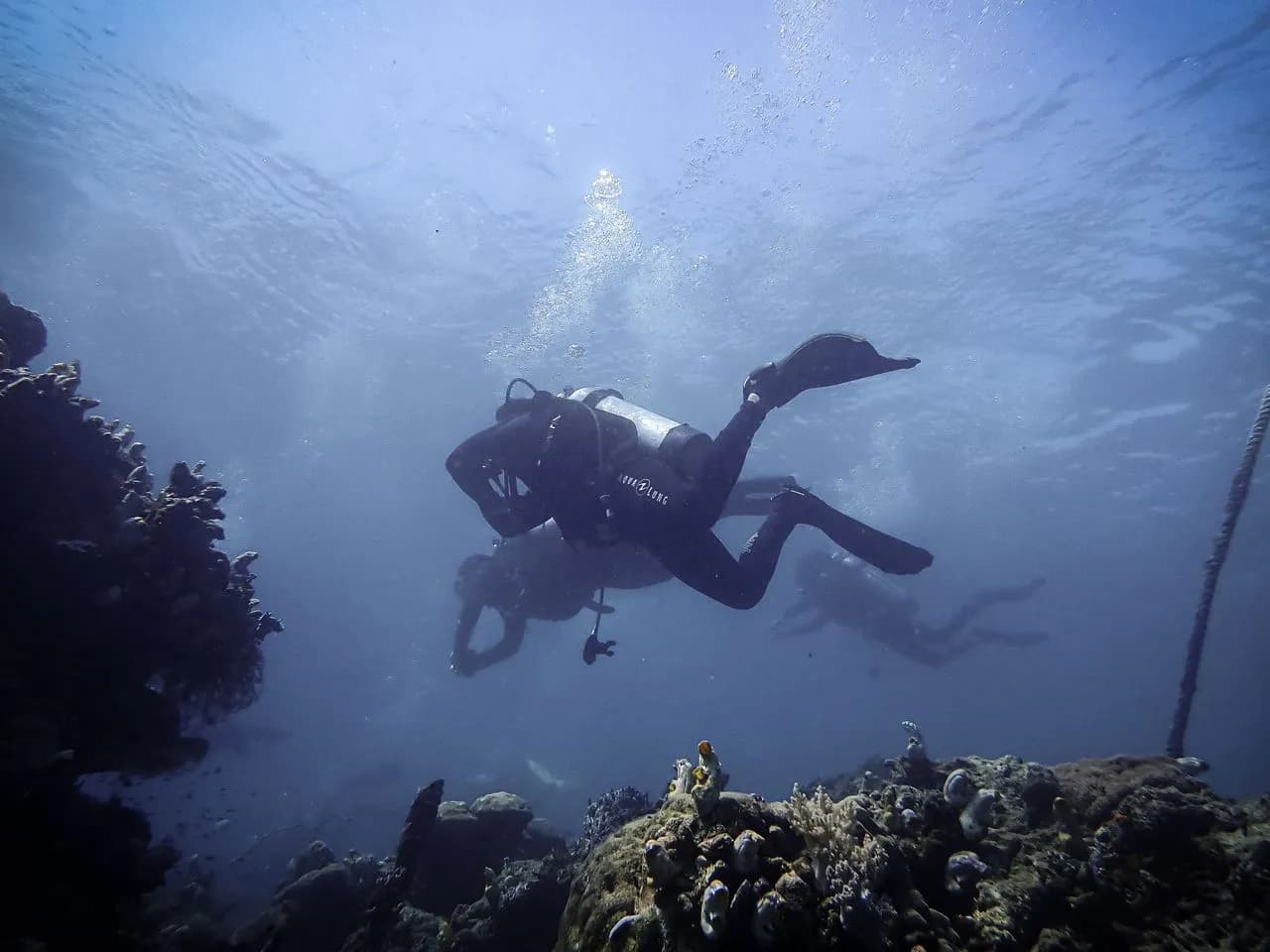 Why Combine Diving and Fishing Trips for Better Adventures