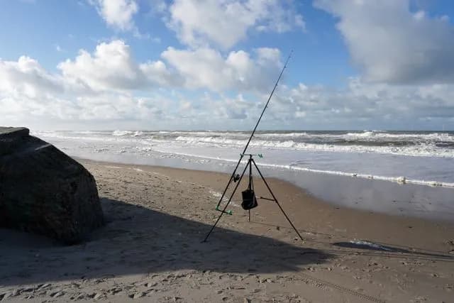 Tips for Surfcasting Trips